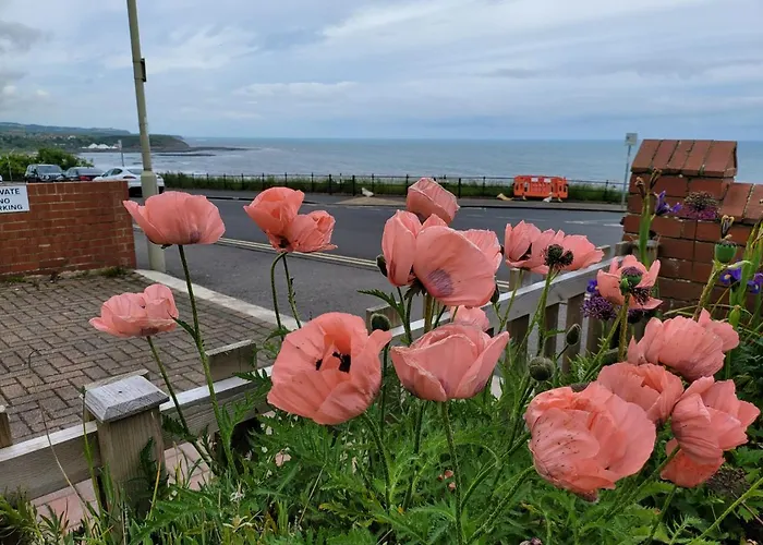Lägenhet Sea Side Flat 5 With Fast Wifi And Free Parking Scarborough