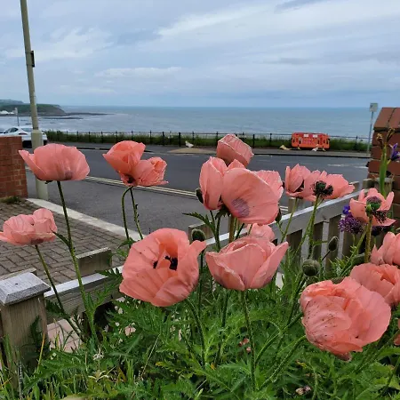 Lejlighed Sea Side Flat 5 With Fast Wifi And Free Parking Scarborough